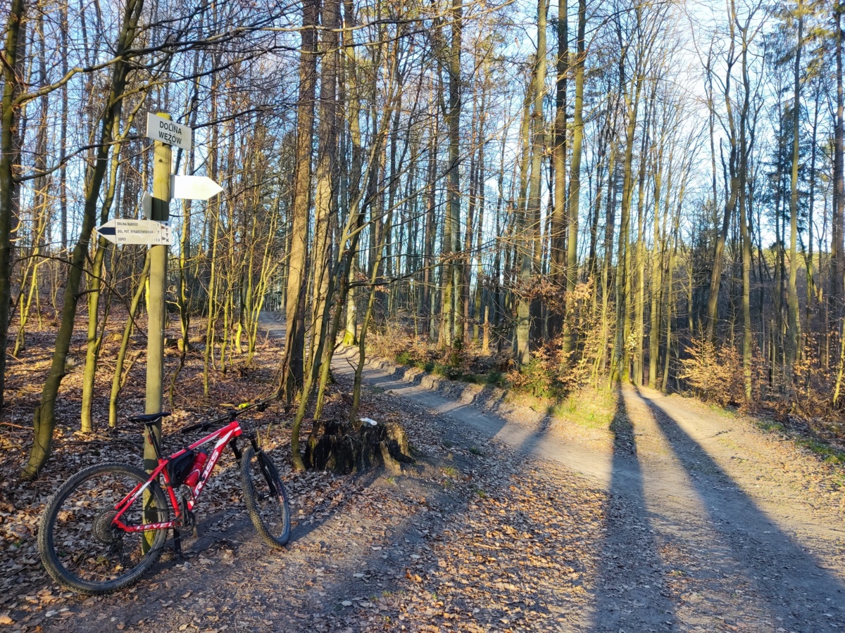 b5787db2-fc28-43ec-aa25-d958be542920