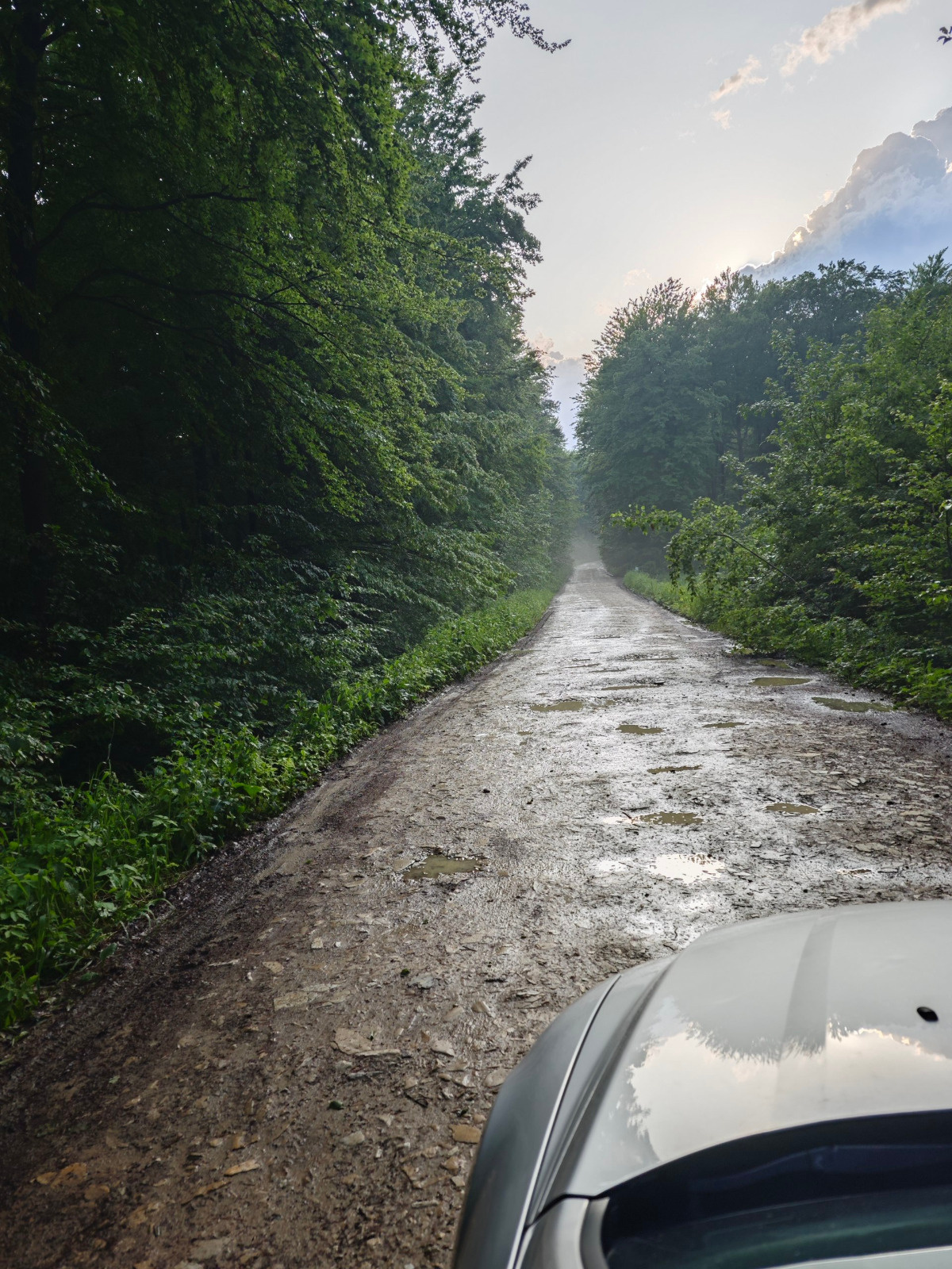 77db3384-4eb8-44db-9ca8-cb35ae7fb335