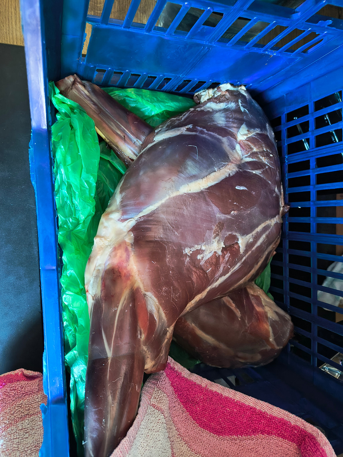 fab6a3bf-ce7f-428f-9027-13be02f8c78d