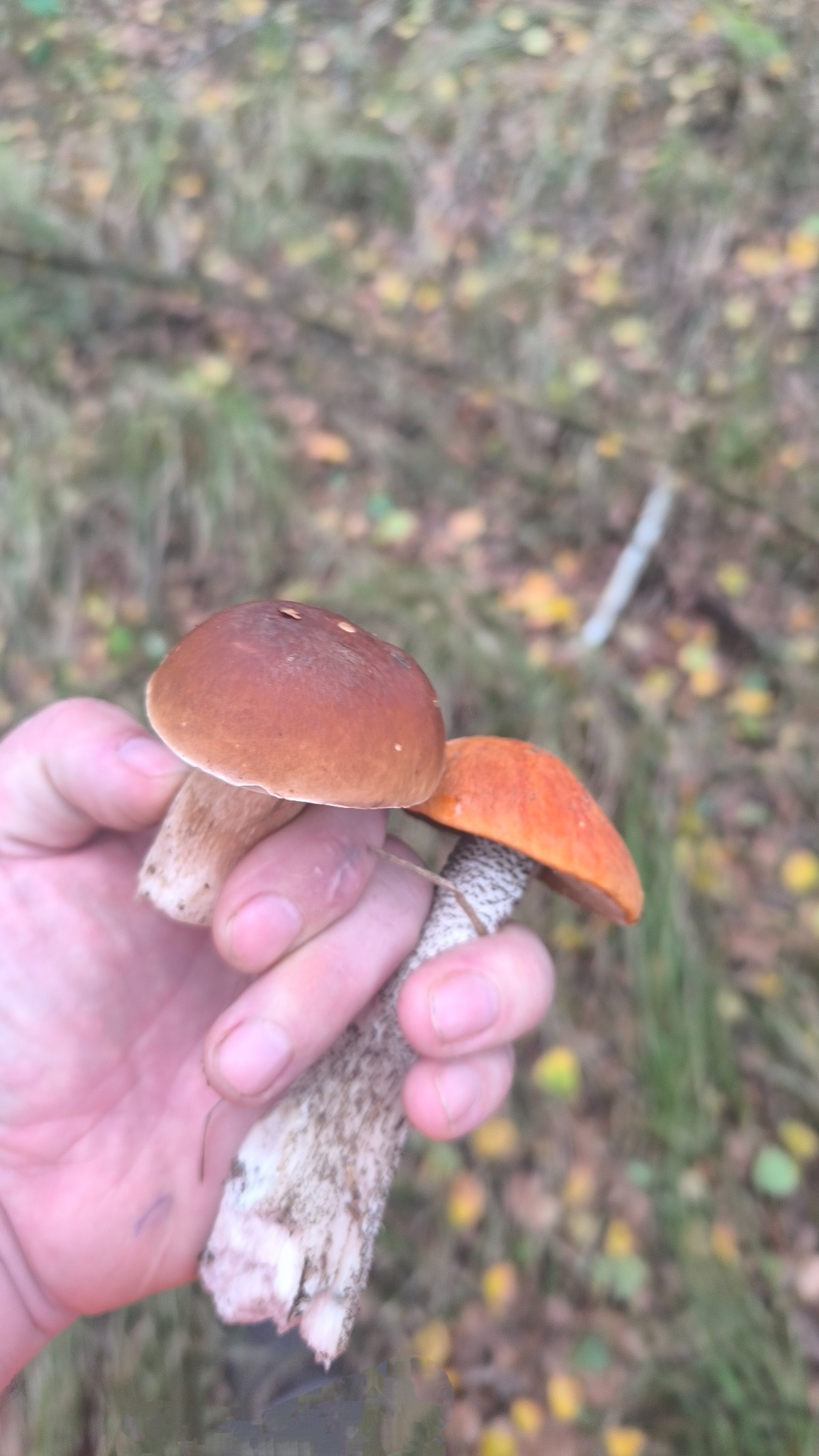 778a3e5a-5cb8-4c22-89d0-fd6c6b11da14