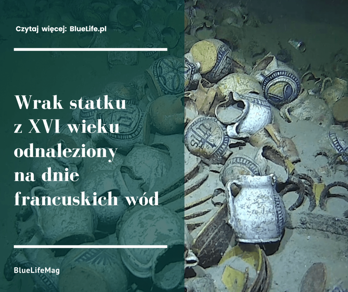 Wrak statku z XVI wieku odnaleziony na dnie francuskich wód