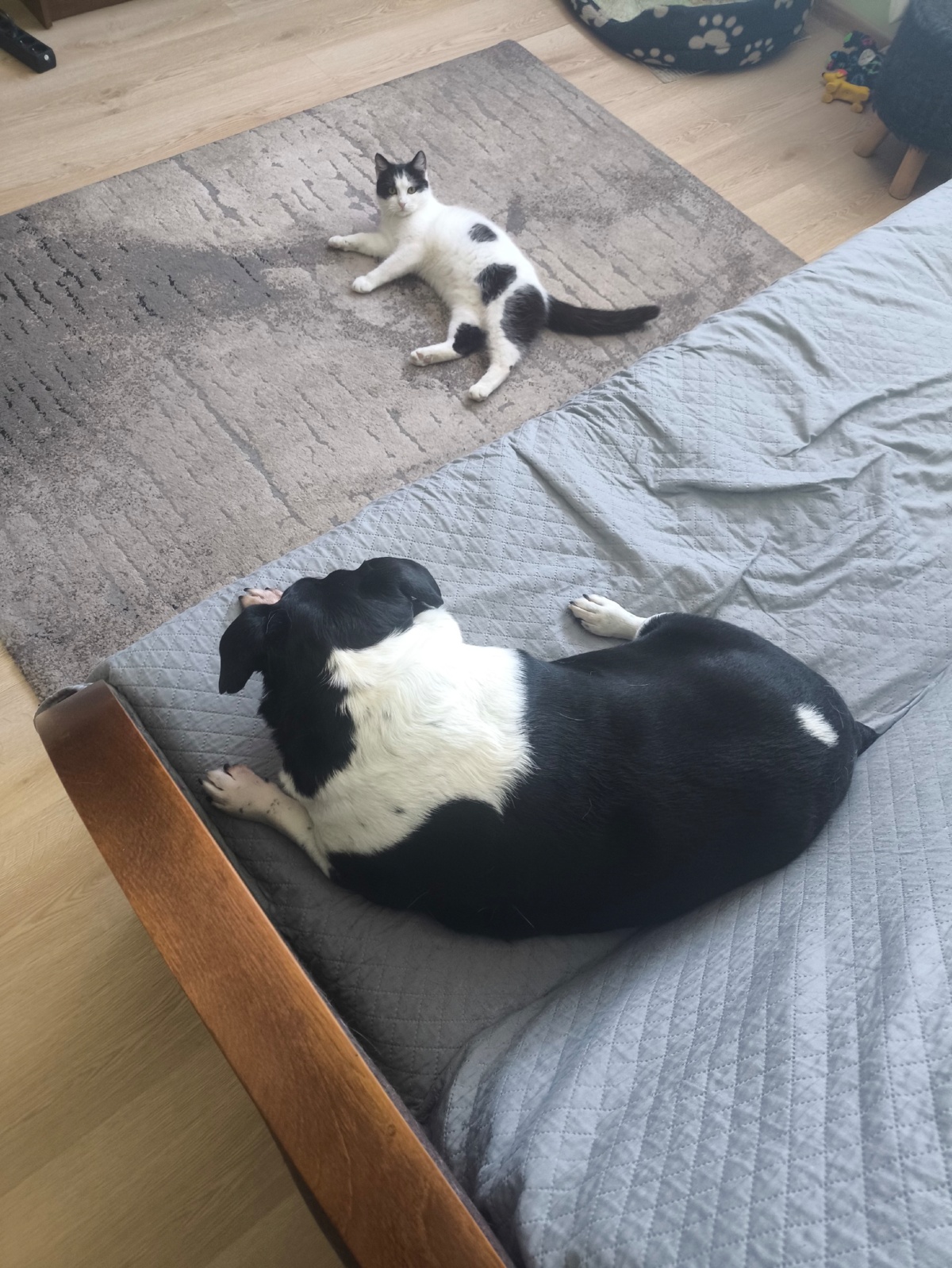 68f0f6bb-c689-4dea-89b9-988e09a9aec2