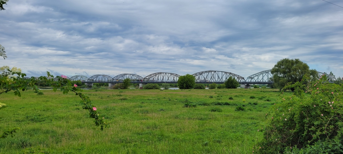 faa5f773-30d8-4438-bdec-f3f42243f673