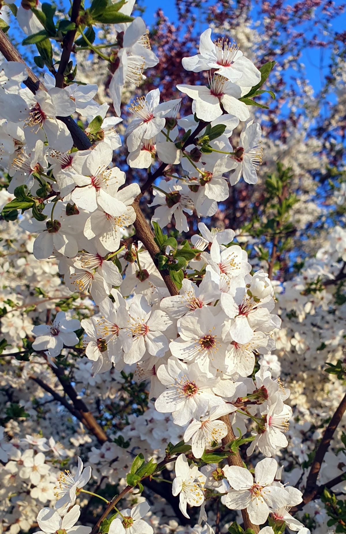 6d1ad264-96d3-4fb1-a856-01681ded5a20