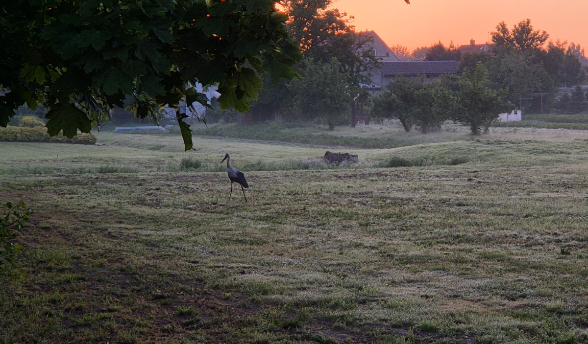 e70ed8c7-4dec-496a-8f71-dd1c44d01b0d