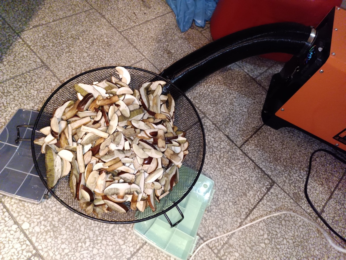 84598ecf-40ba-4a68-922a-8a6a09f5fcd7