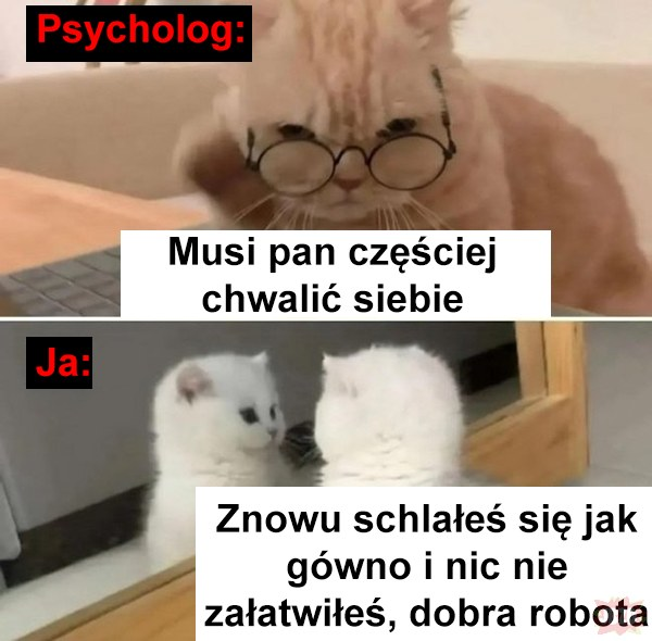 2df50050-6247-408b-ab3e-3ca1c0bc922e