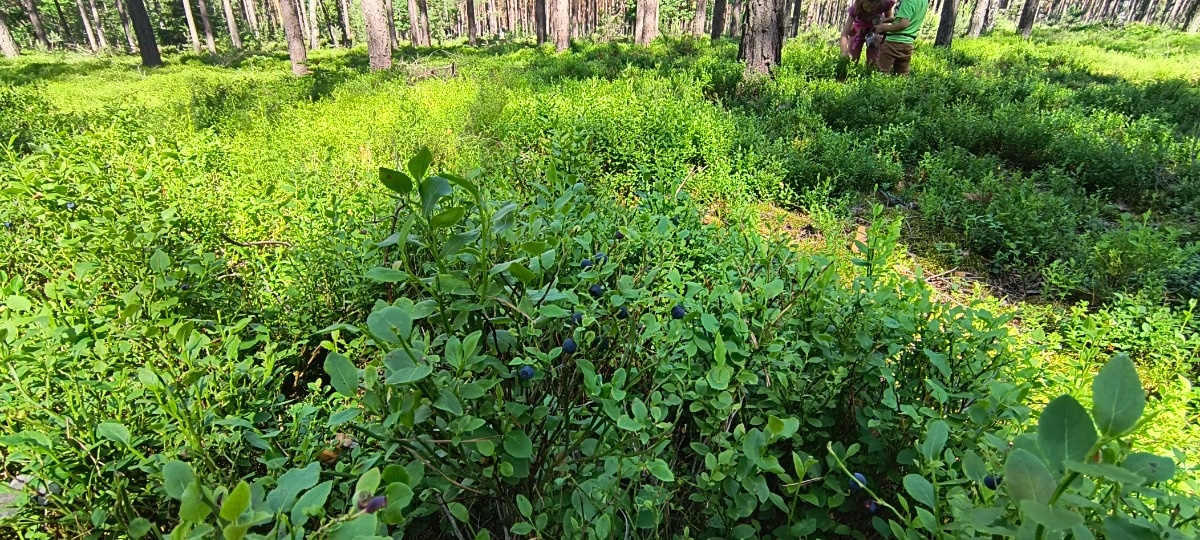 05971d72-52d8-4749-ae51-60ab813a593e