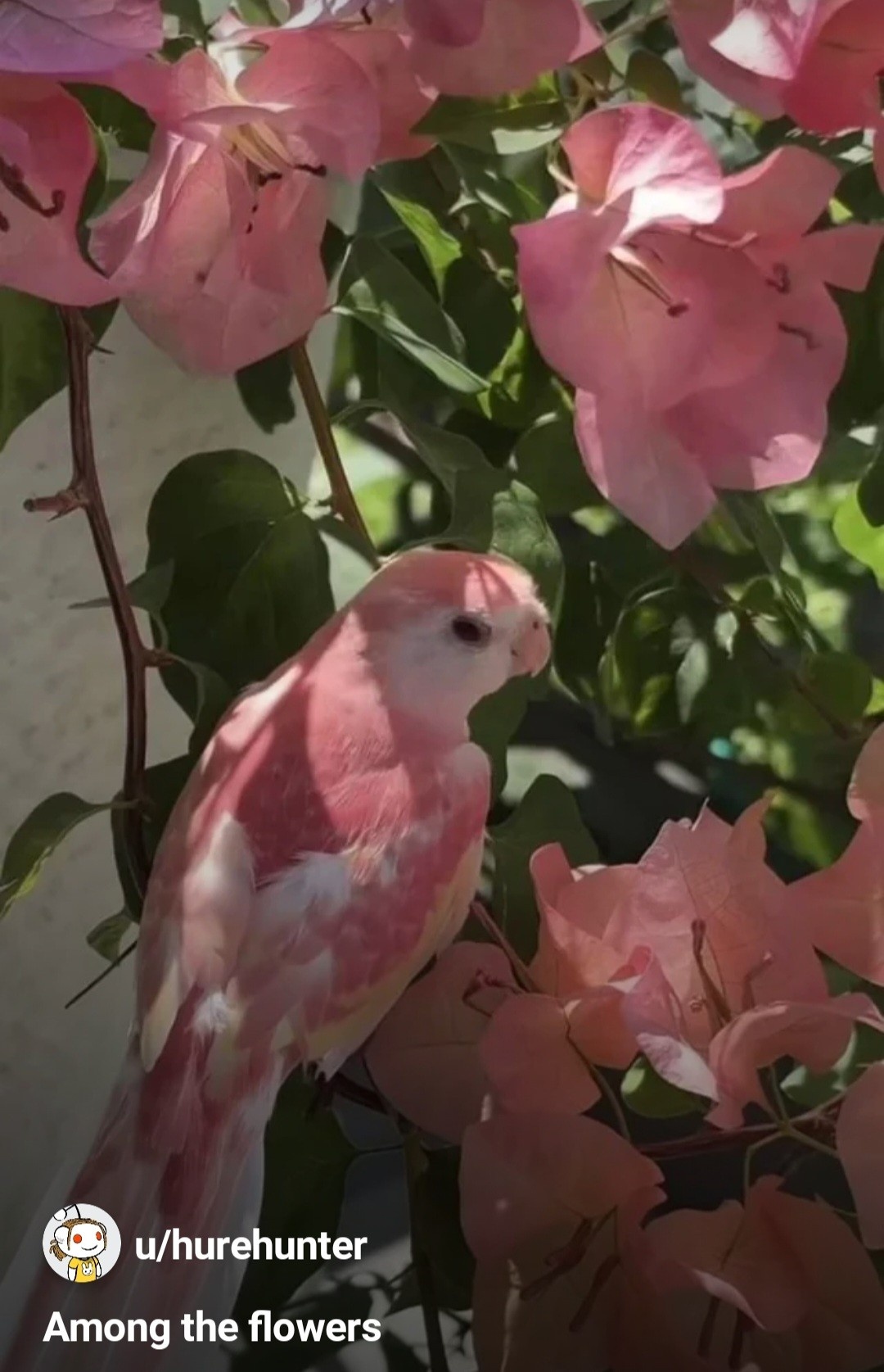 22f25d73-5953-4ae3-8701-9f9110220235