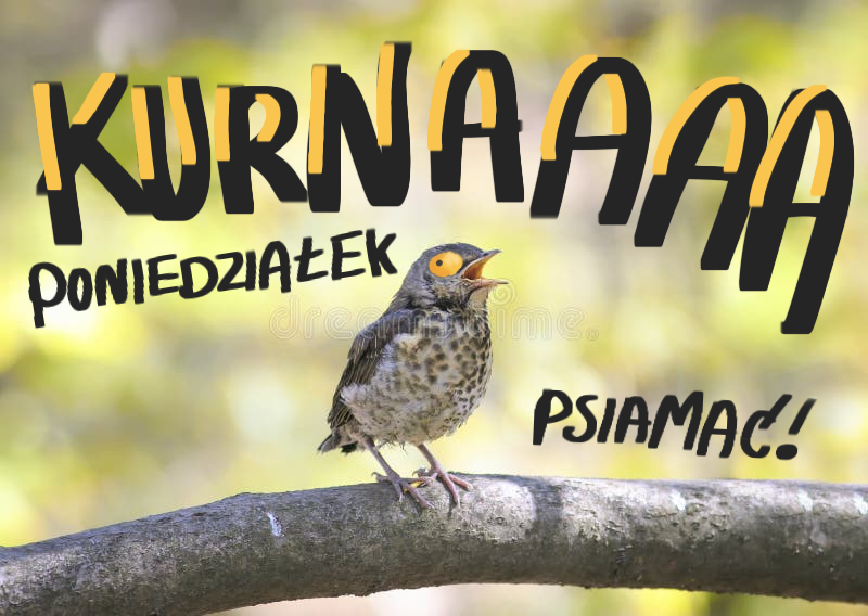 45fe2f86-6093-4cc7-85a8-a5817d159965