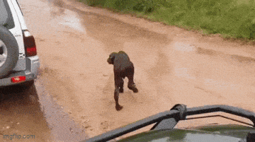 a94628cb-331f-4ce9-9bdb-7b21d1b3b8cc