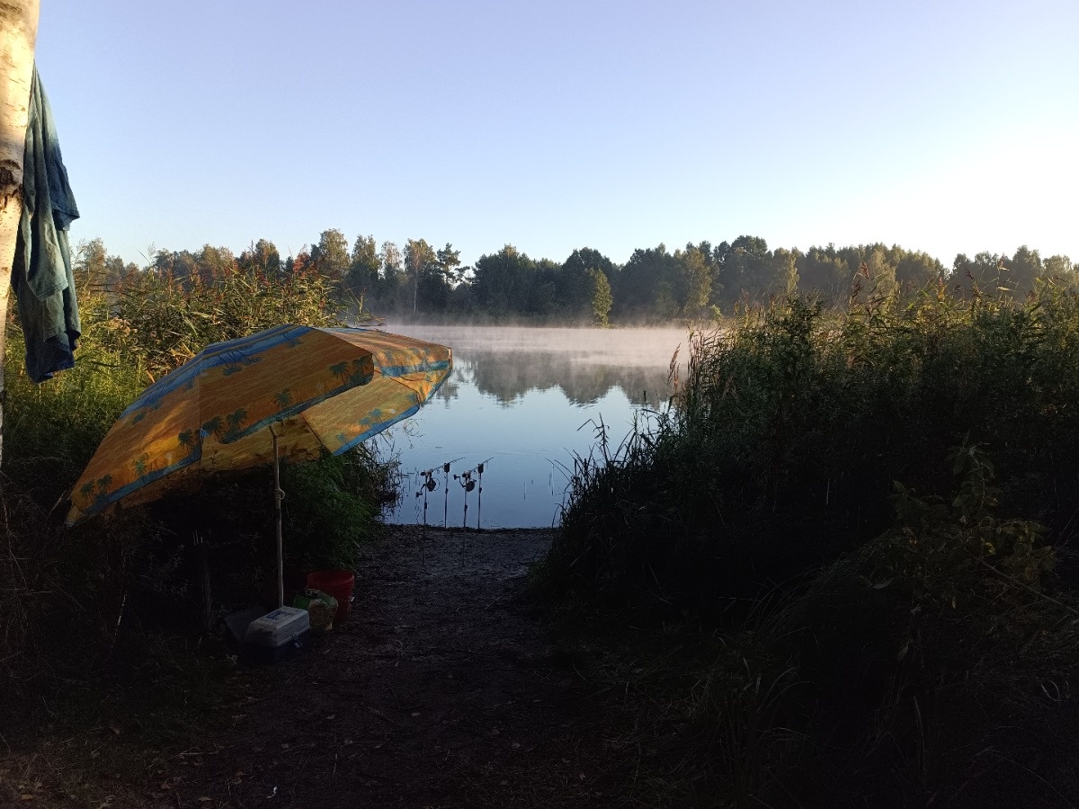 b88f7047-7fb9-45d0-99ee-a98c409461ec