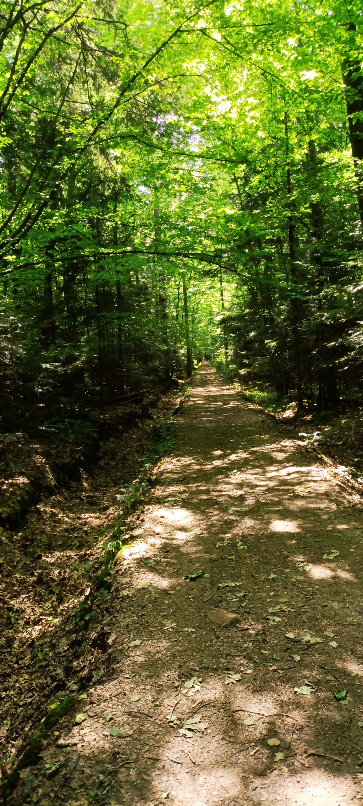 b4a06776-76c0-4057-976a-54d38ec83546