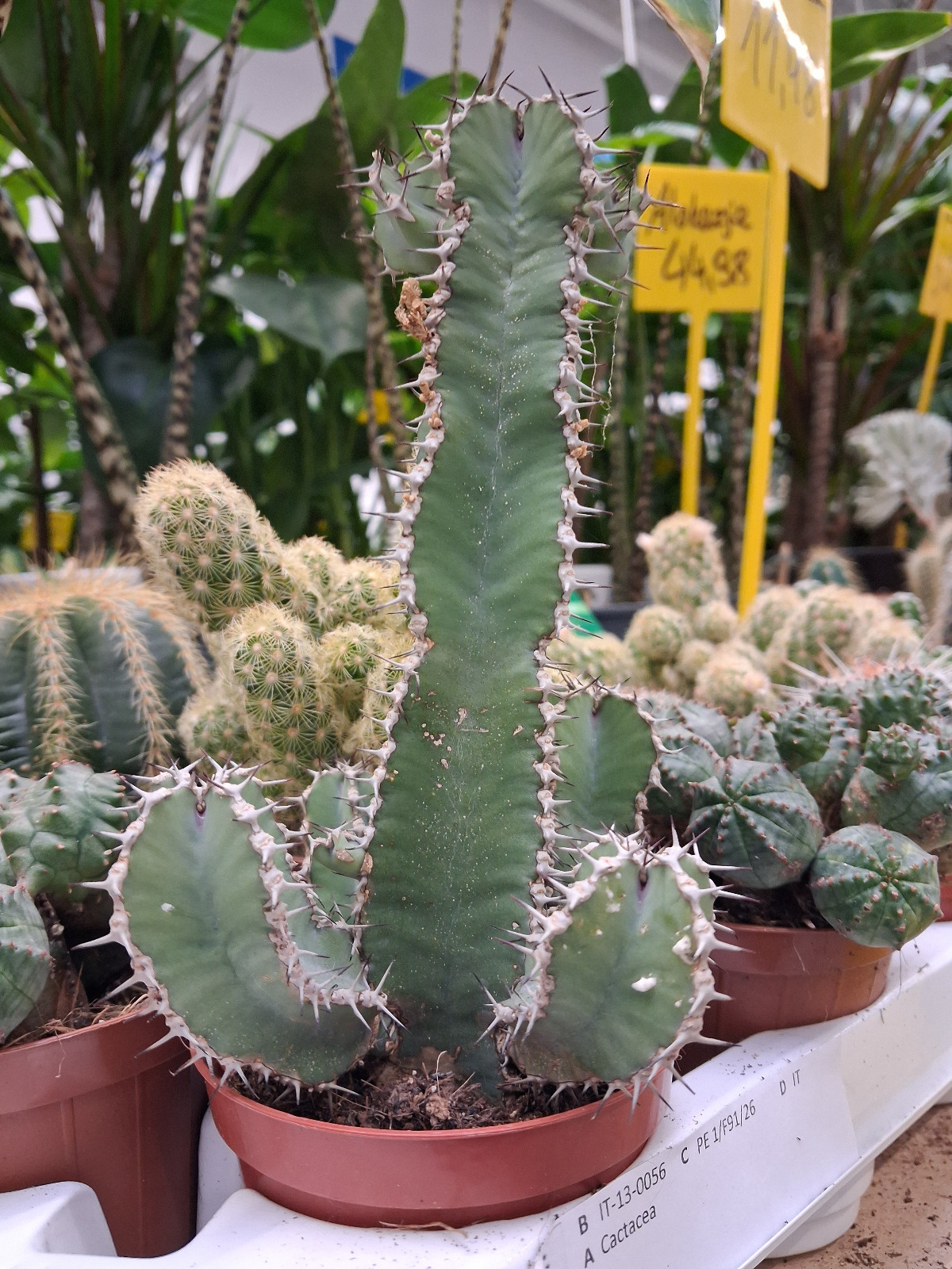 f0797ce6-99fb-4cfa-9a39-3e3dd65bbf58