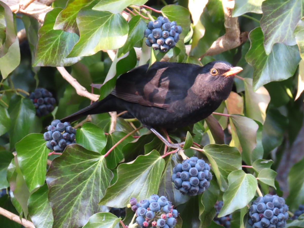 2bae942d-64b7-423a-b08d-48d2db2f08b5