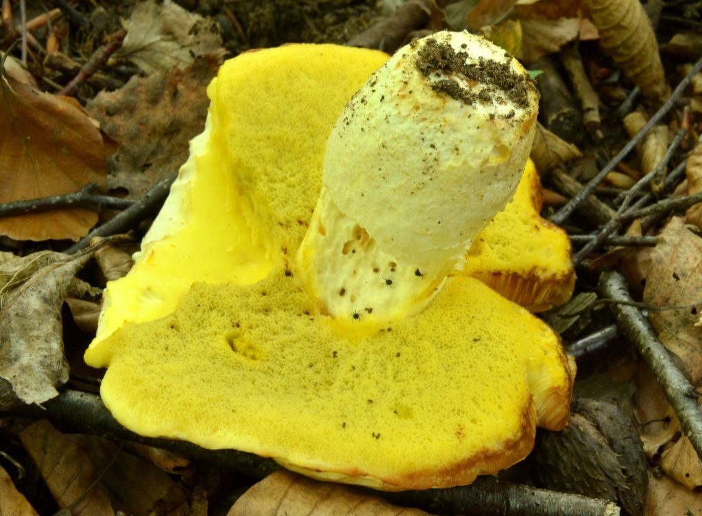 da1ad210-758a-4104-80ef-6059c326c1d0