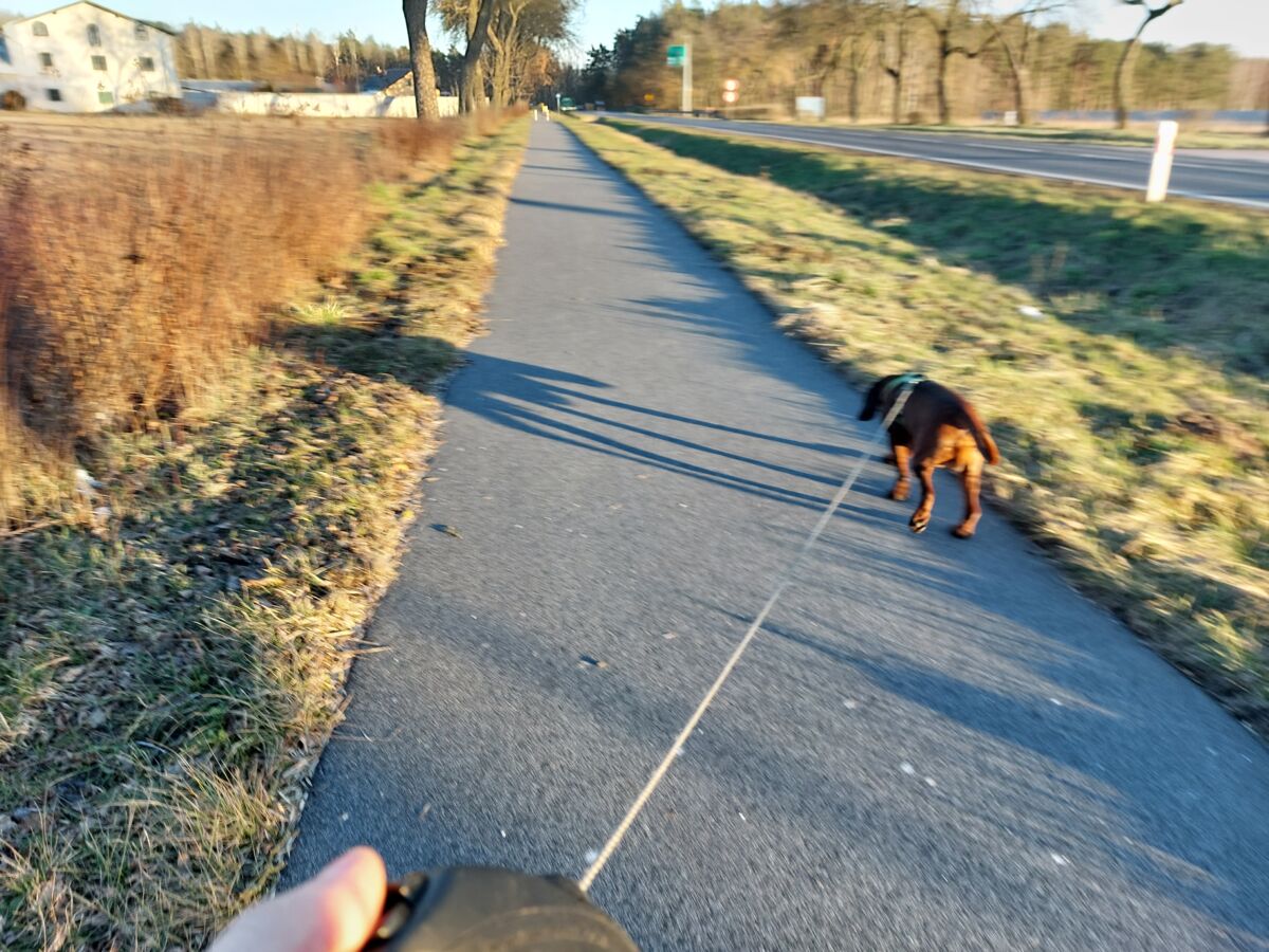 d5918ea8-ab34-47d9-9dc3-c3cbd49a8b55