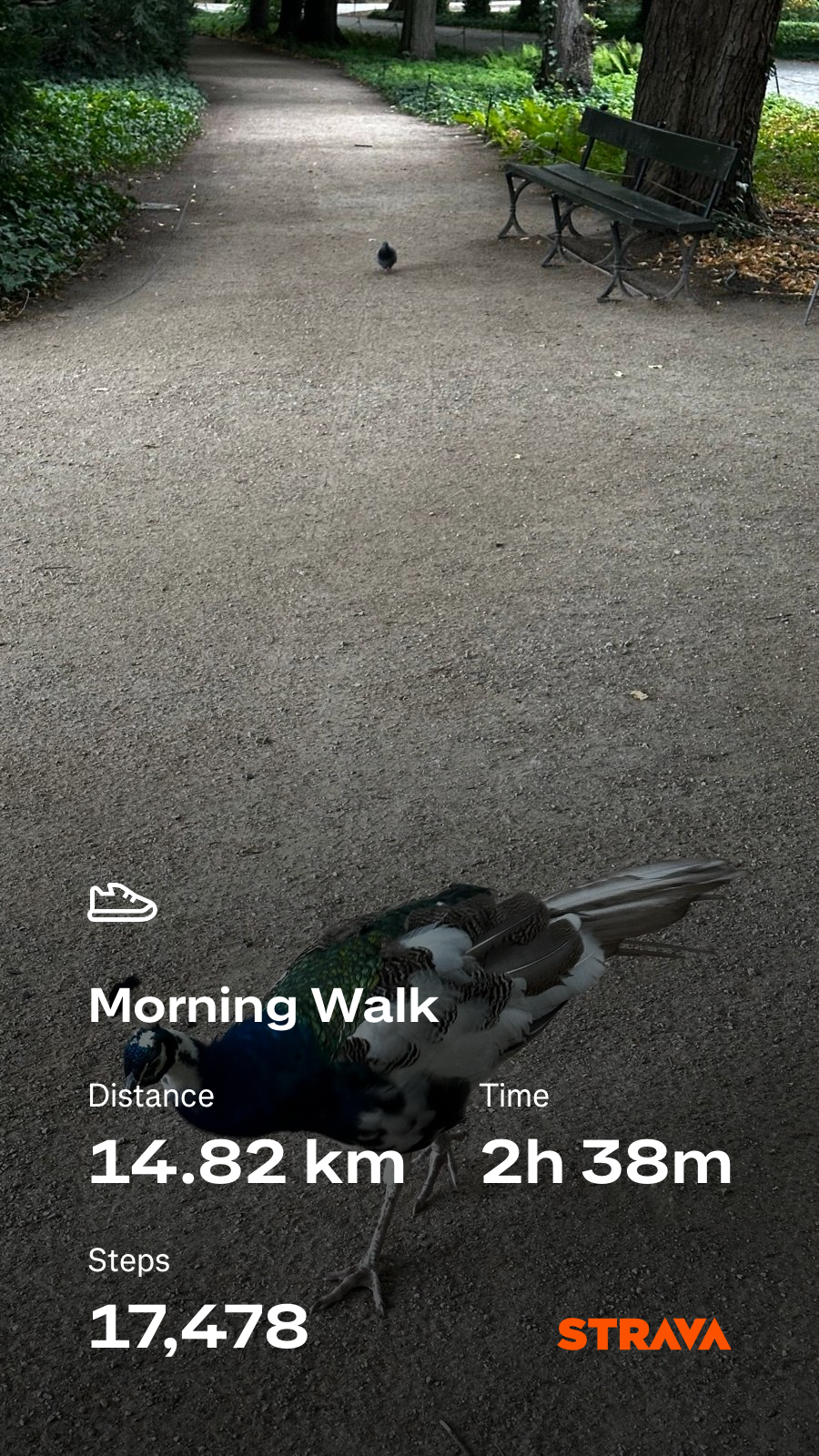 14f1c28a-e871-4bbc-932d-2bab1f8c590b