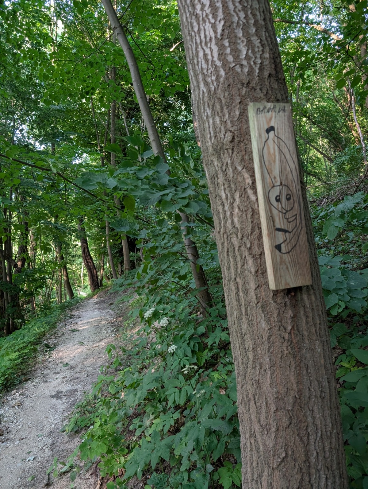 9f2cb8d6-9139-42a5-a5d4-291f2d8e53cf