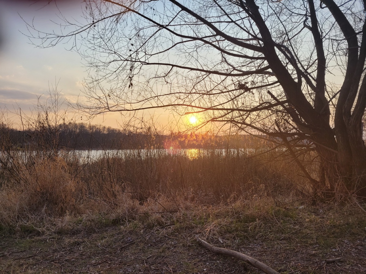 a99e9c7f-e575-4d5c-bd2f-f540b0d6dc07