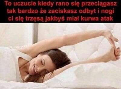 50e485d4-7681-4f0e-93ec-4f74d8ab6de9