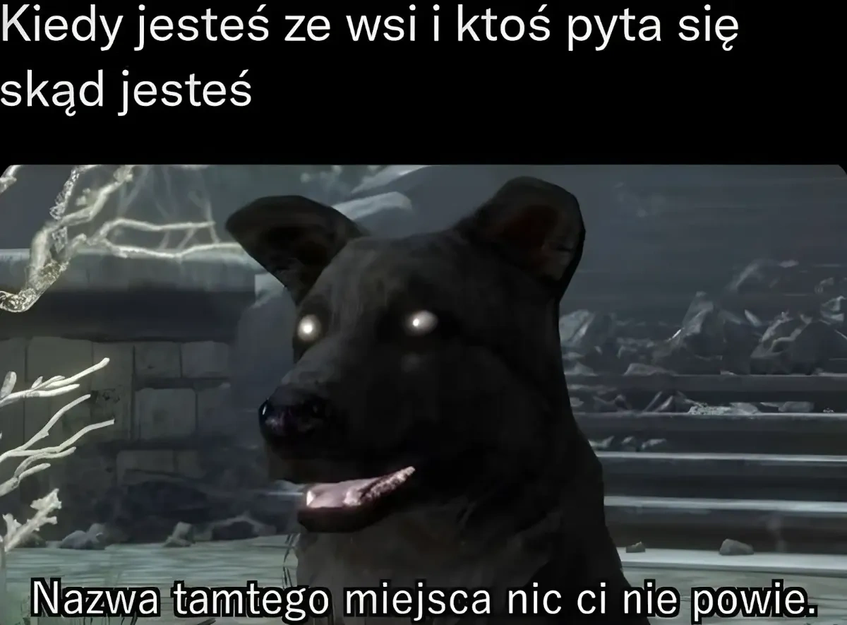 07b5e31f-2462-4a43-90d5-d5486b7efeea