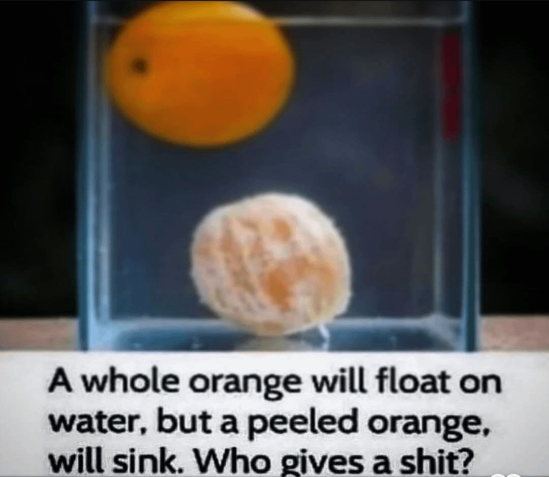 d1d848f5-f5c5-45d2-9958-8153daa7eee4