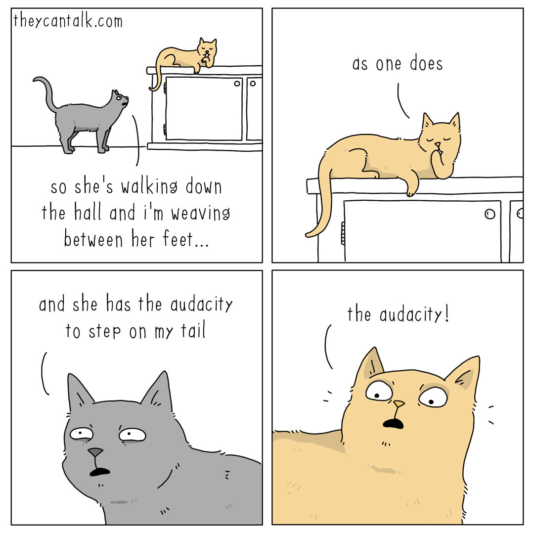 b498053a-d988-4a9f-8eb3-92ed8cf299b3