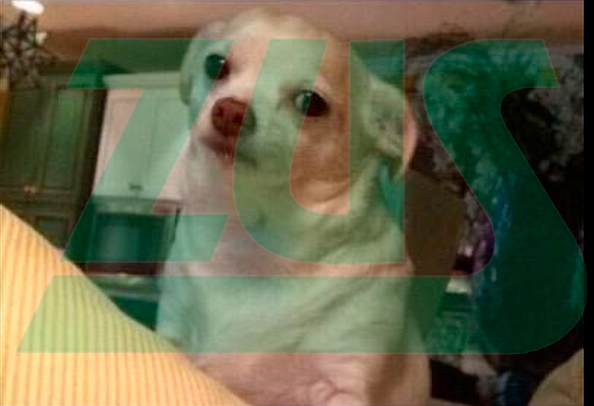 6aa12105-9fc4-43eb-b97f-1a71d7dc2c91