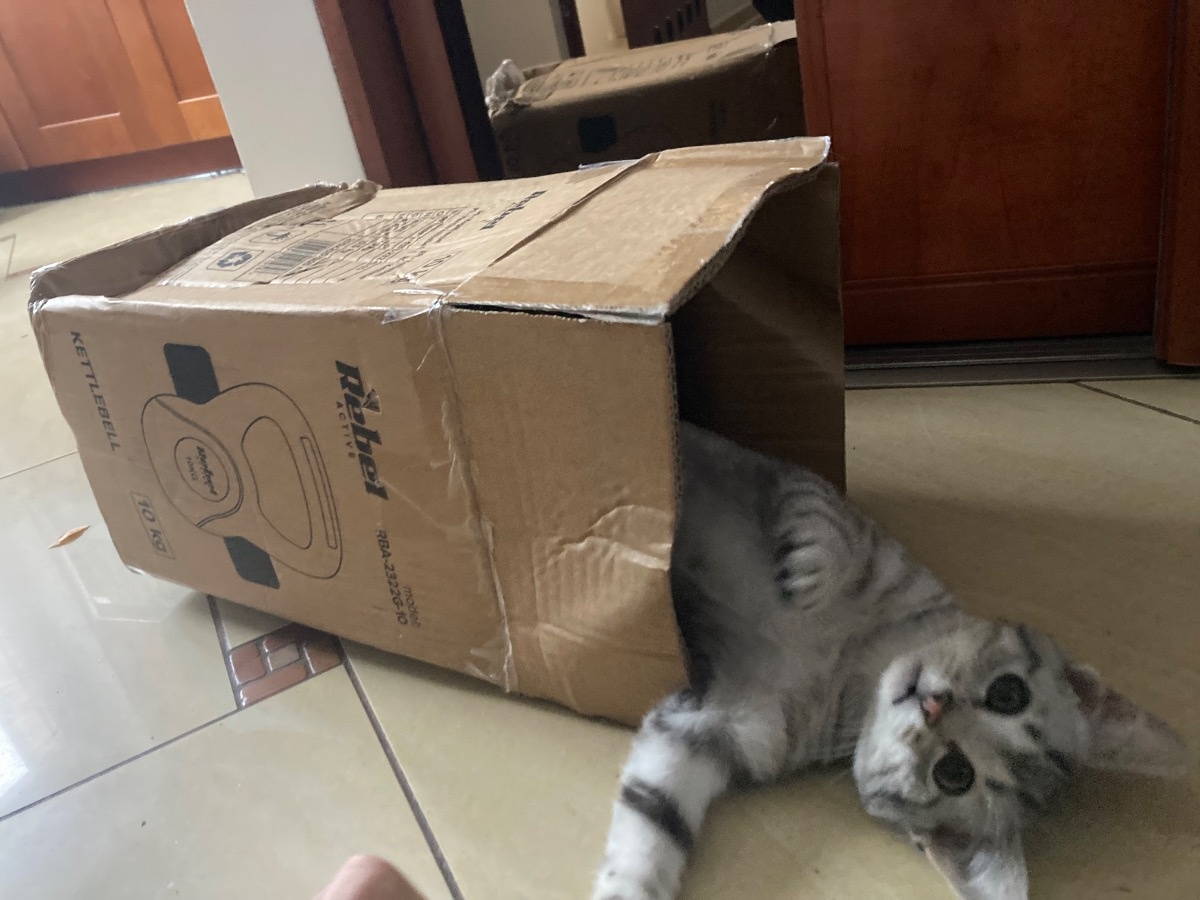 fd190f9b-e21b-4251-97d2-f414507207a2