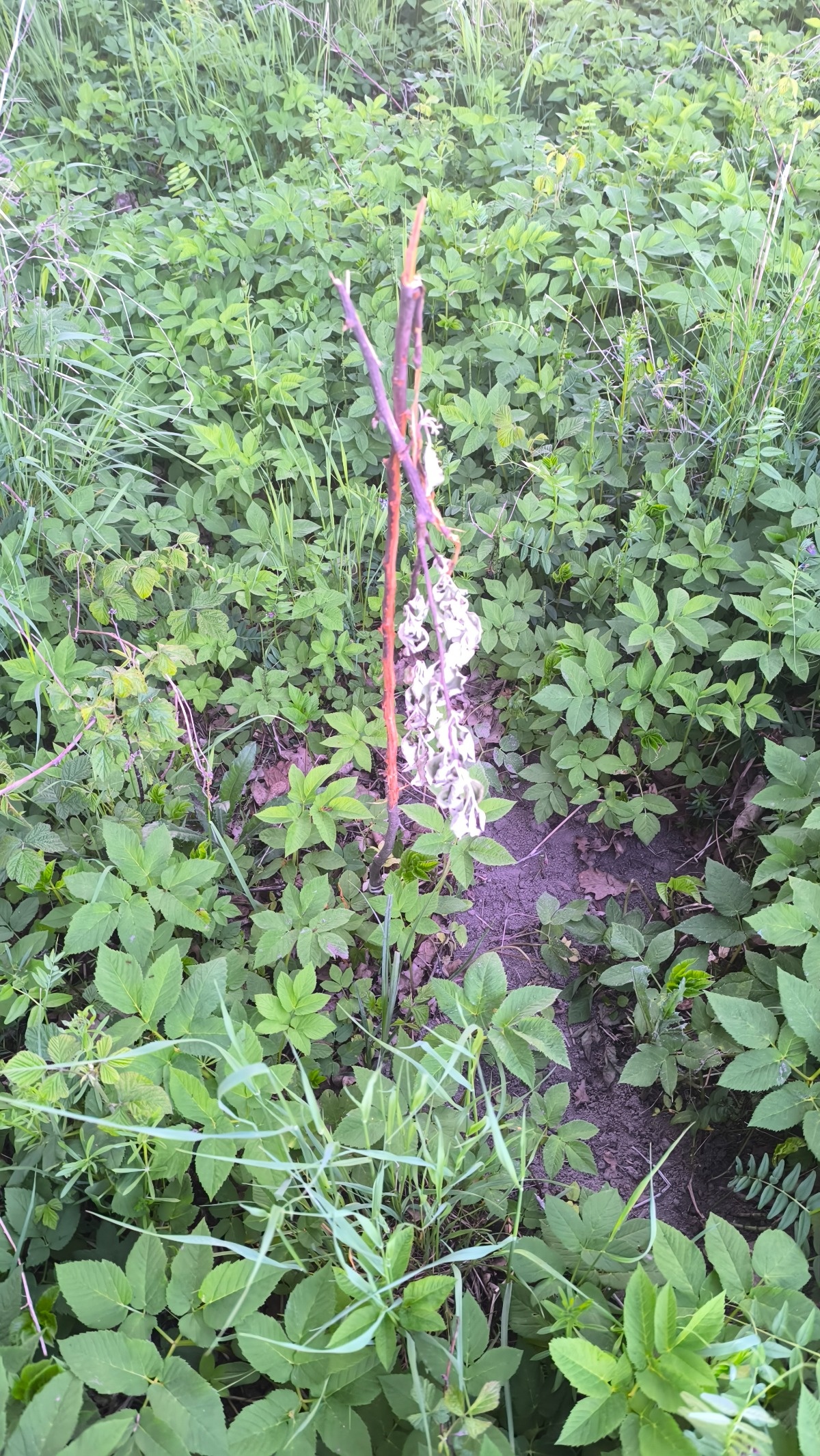 a6c6288a-714d-439c-a2c9-b4cdfca03ec6