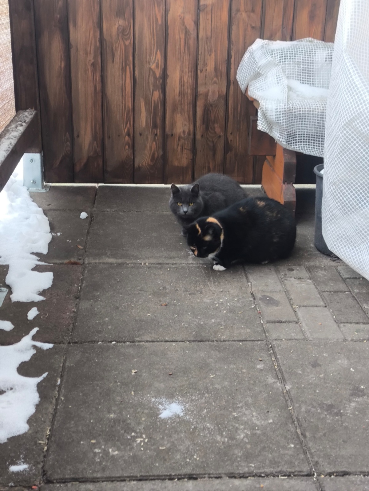 fab62843-8407-4ef3-bed7-6cc611de3fe5