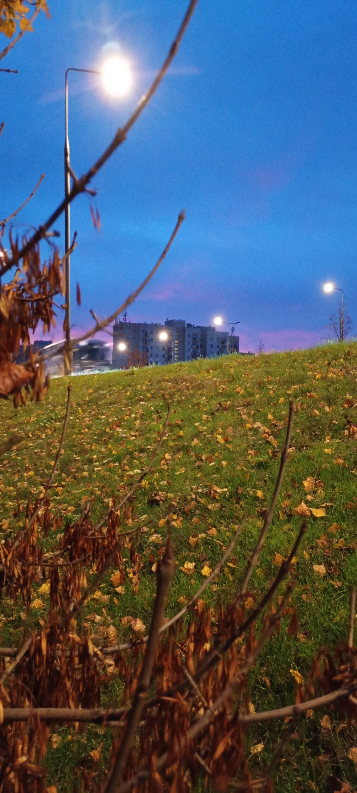 561f65e6-75b9-44a7-ae26-99a6bccd5cdd