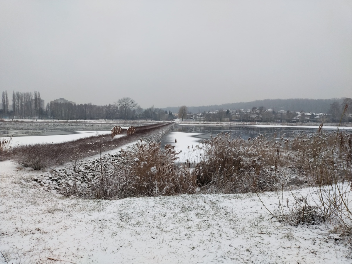 8d667229-3f6f-4233-871b-f5f5c9e31a55