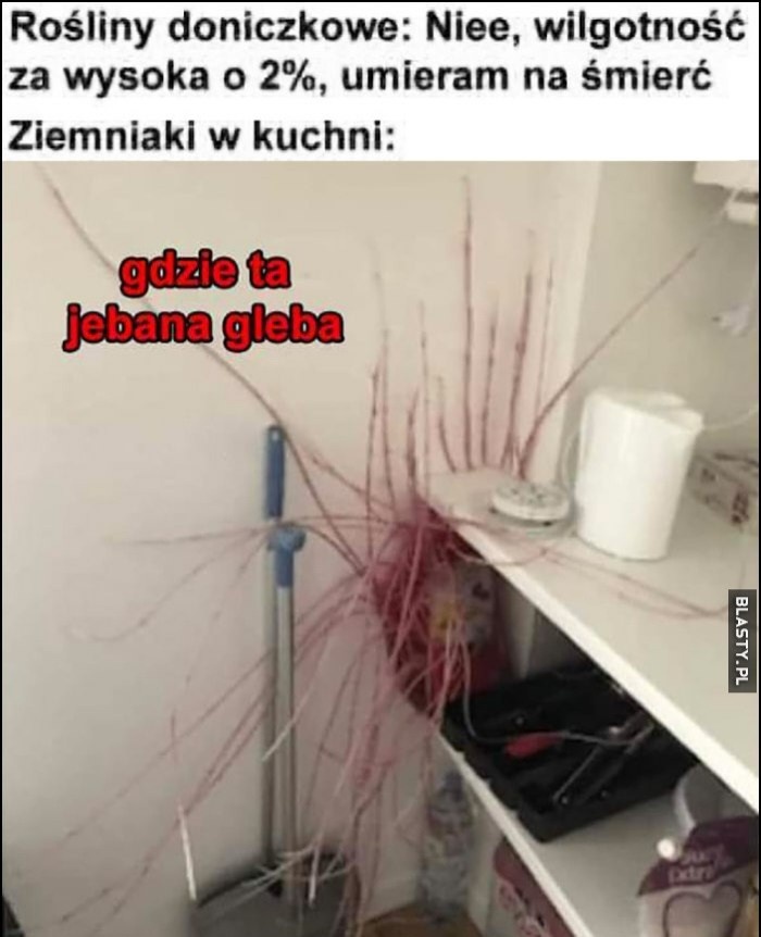 70682af6-faa5-4a29-9988-c2188dc7d63e