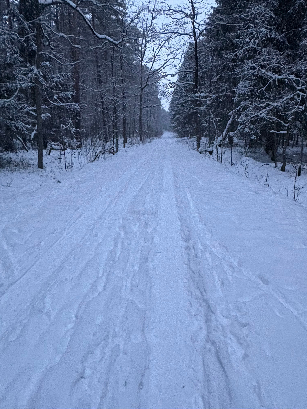 908d885d-ab23-4fd7-92c2-f5b5db0ab86b