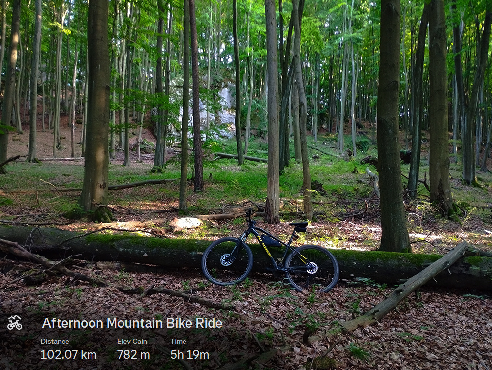 56536f01-b047-41bc-b45d-547248408340