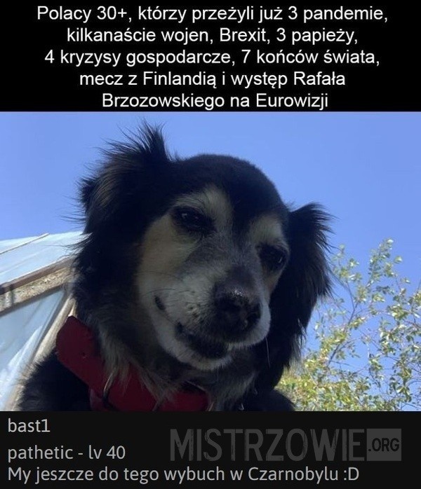 9fc61146-34b9-4321-b99f-5646b691ccb1