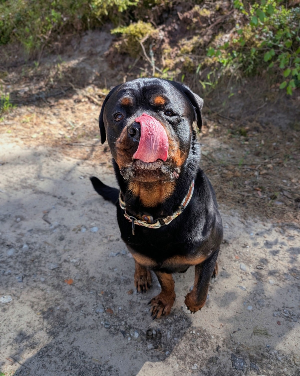 c6be81dc-8eab-439e-8638-f5896ddedbe2