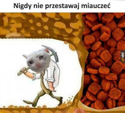 e7768415-9021-4c2f-b6f3-2b8fc62916fe