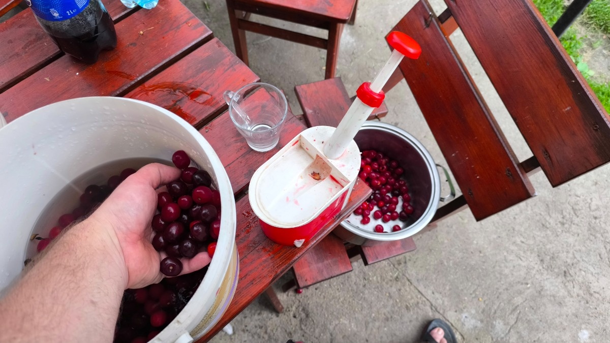 f6dcd66d-09ea-4641-b0a5-1e82f714b500