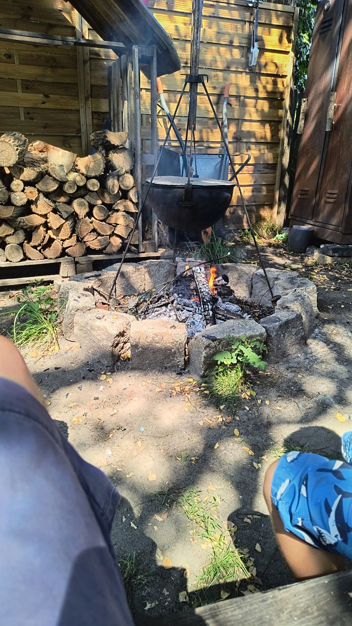 d5ba68b0-4fe3-4a4a-97f8-0e85dc60947a