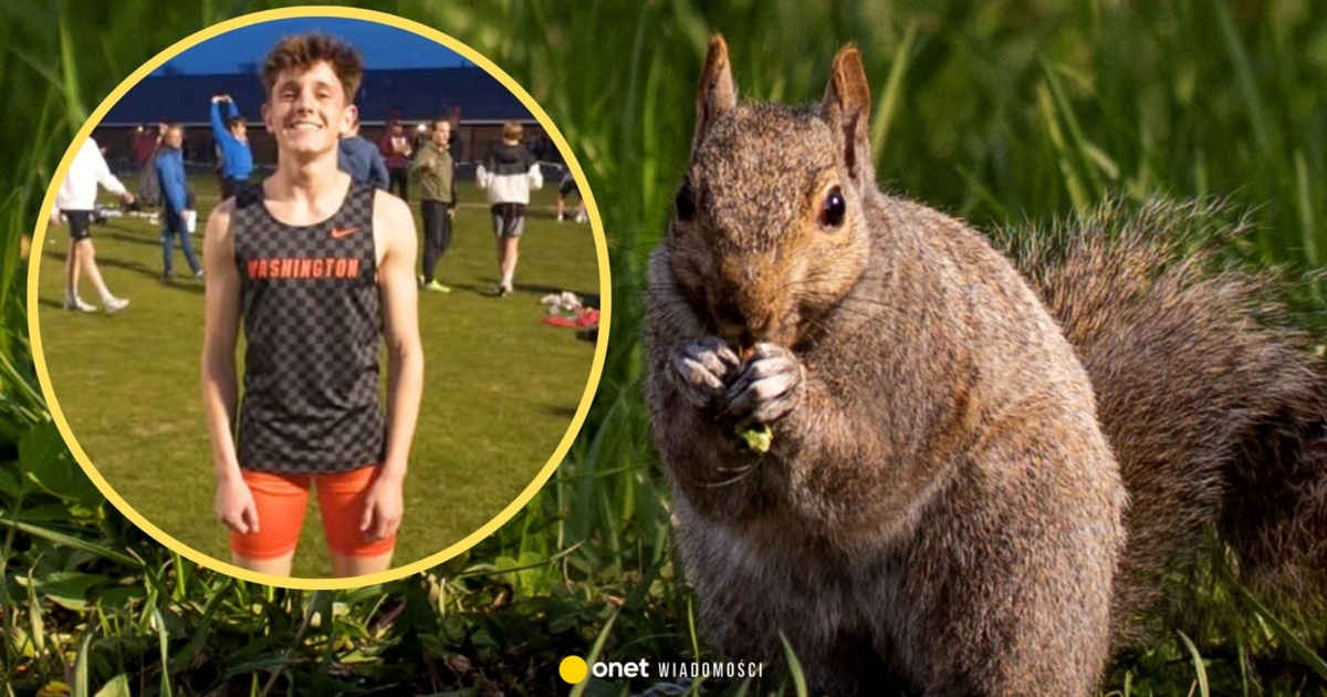 Myśliwy w USA podczas polowania zastrzelił kolegę. "Został pomylony z wiewiórką"