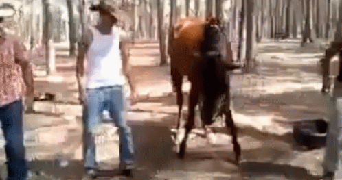 cb0e24df-b04d-4b8f-b15e-8ccf1270c003