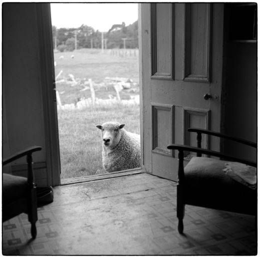 eaf25357-87a0-4e66-a6dc-dac188be695e