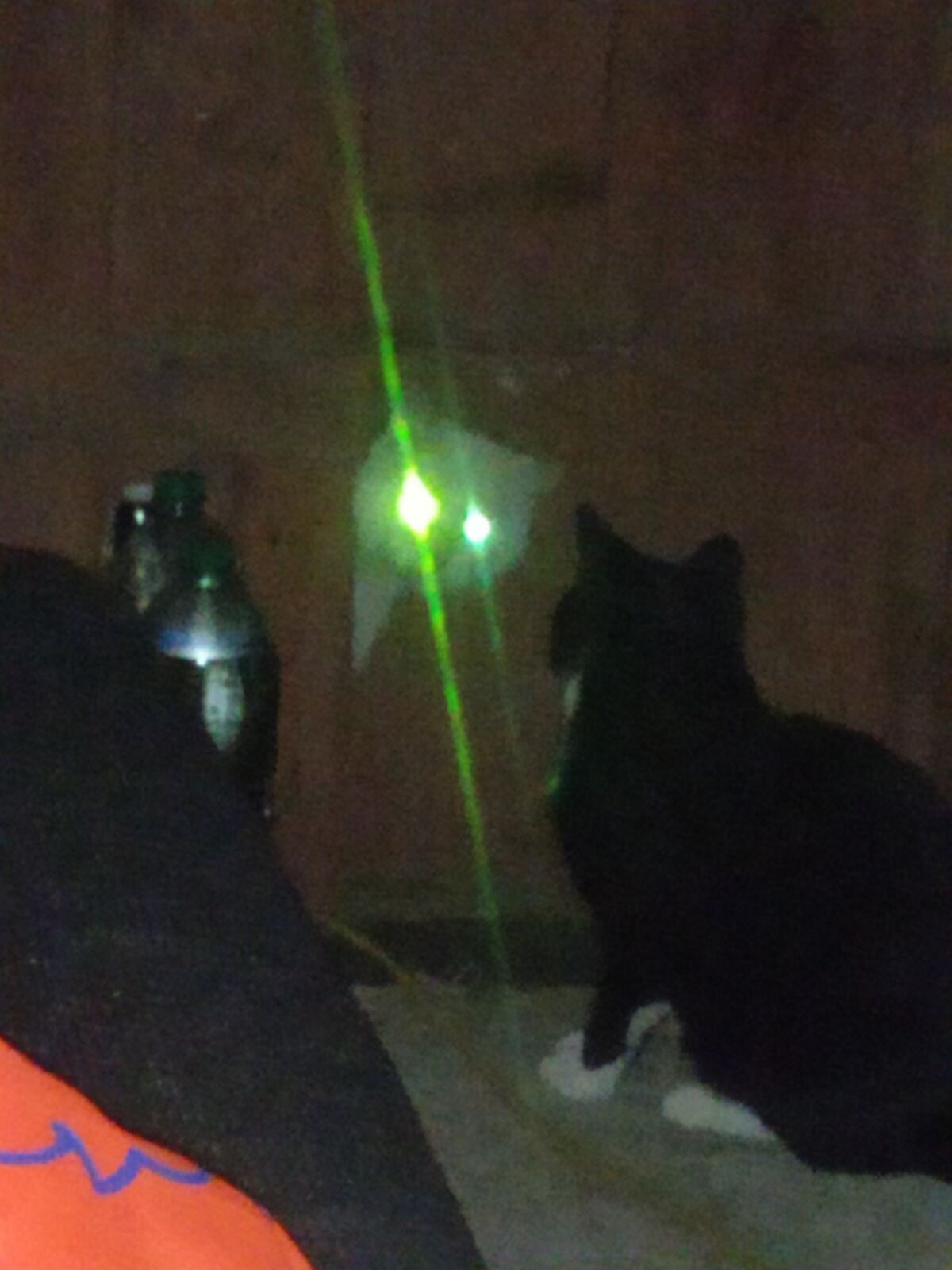 9193be97-887b-4d8c-af7b-2a76757523ad