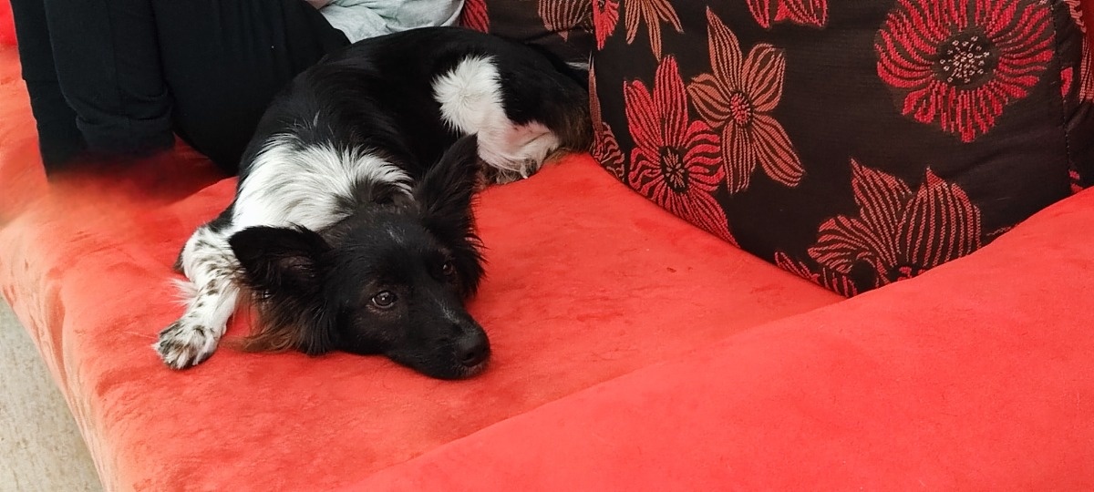 45a31934-f9b4-4bf9-91b7-cd2f0d34f088