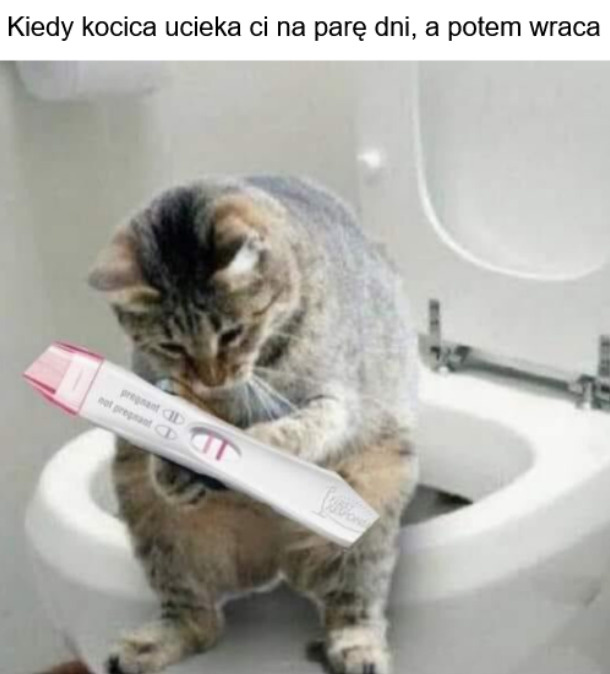 5917aef9-12c2-498c-85a1-d0cf326b301a