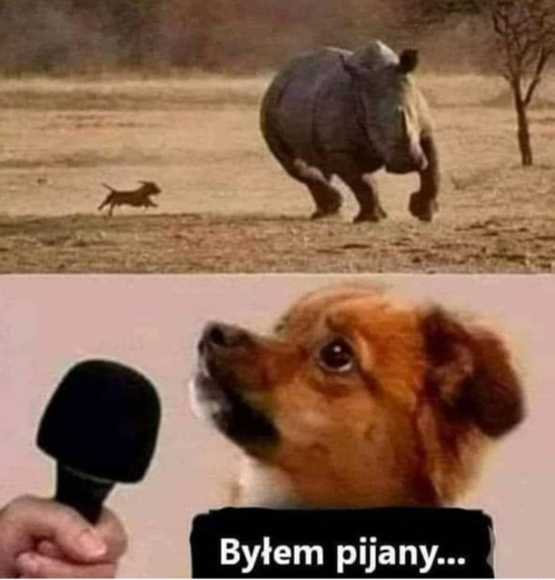 dff30dcb-49f8-4052-91cc-4022dd4311c0