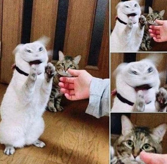 e4cae205-08c1-480f-9b10-027071af8df7